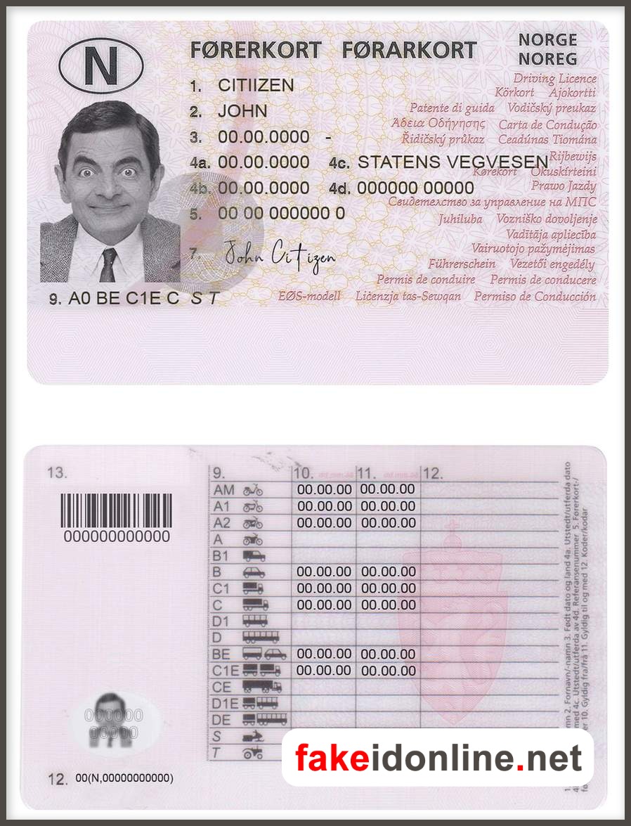 Norway Driver License PSD Template 2013